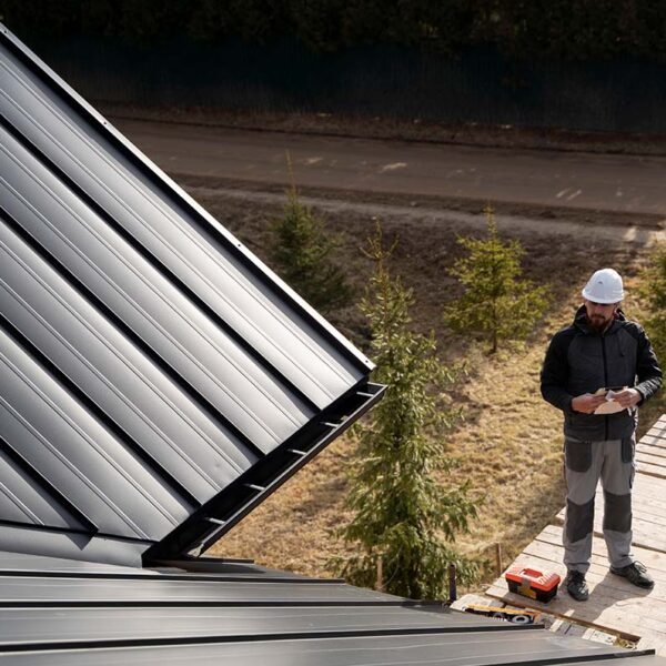 BioDefend Roof Moss & Mold Remover