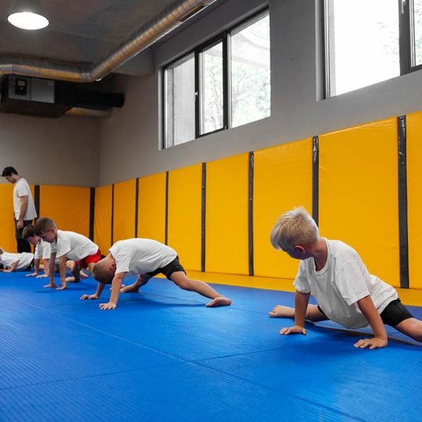 MatDefense Concentrated Tatami Mat Cleaner